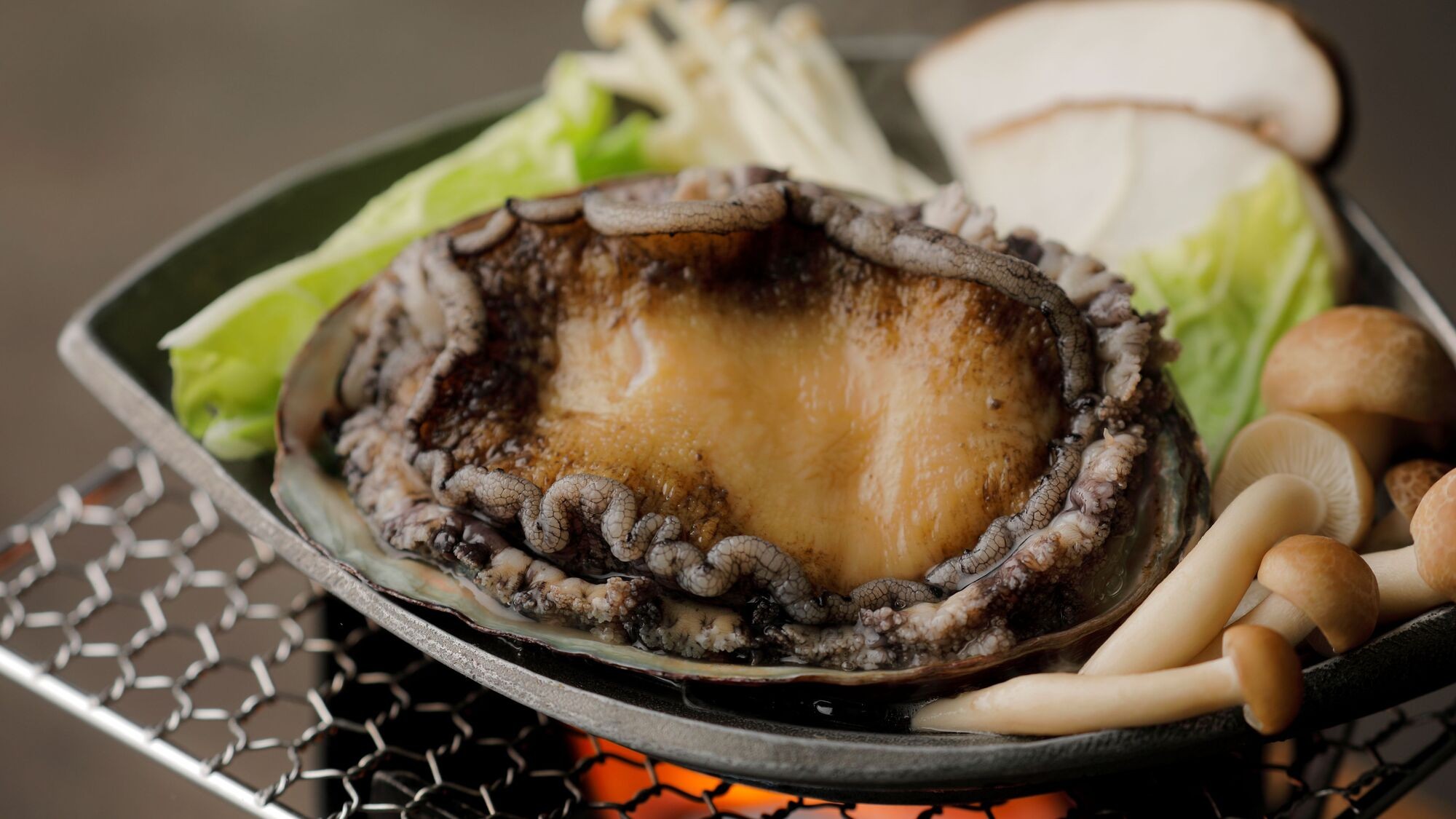 和食ディナー　鮑の踊り焼き