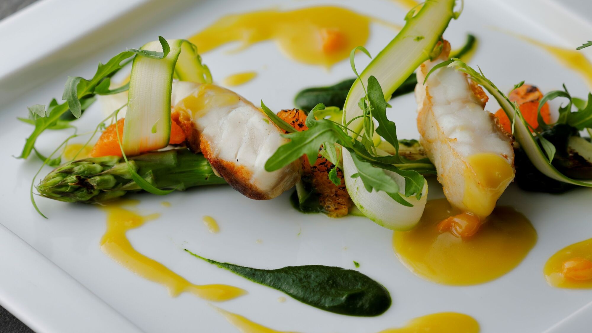 2026春　洋食ディナーコース　ポワソン