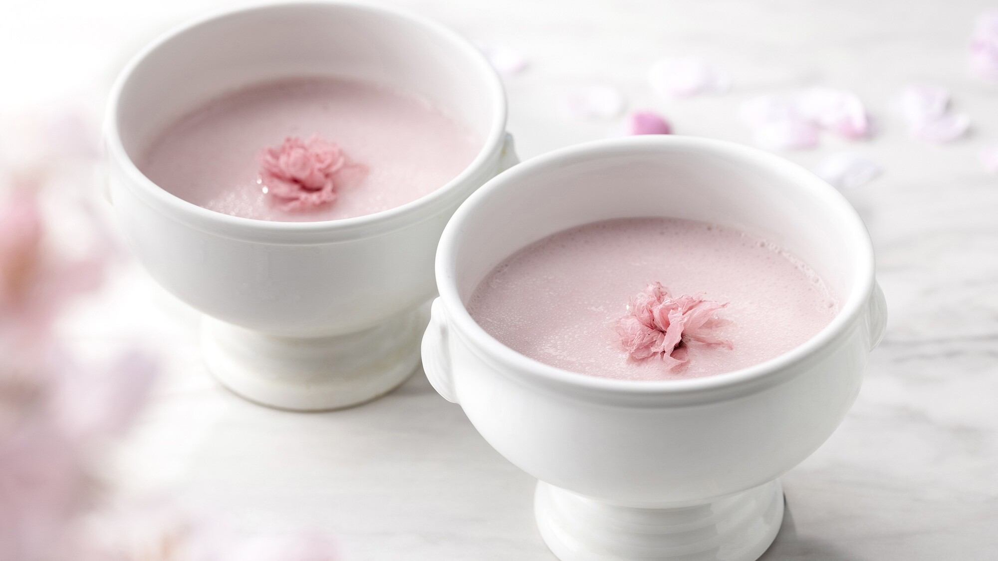 3-4月_シェアディナー_イメージ