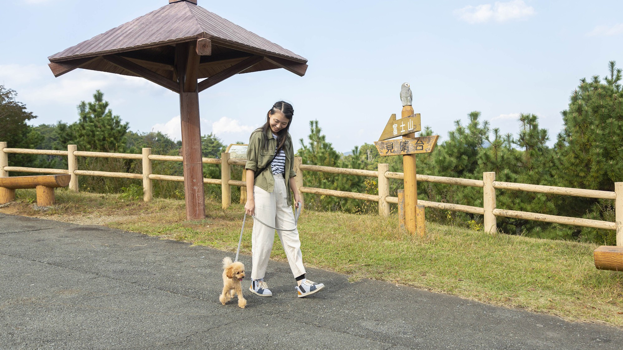 愛犬と敷地内お散歩イメージ