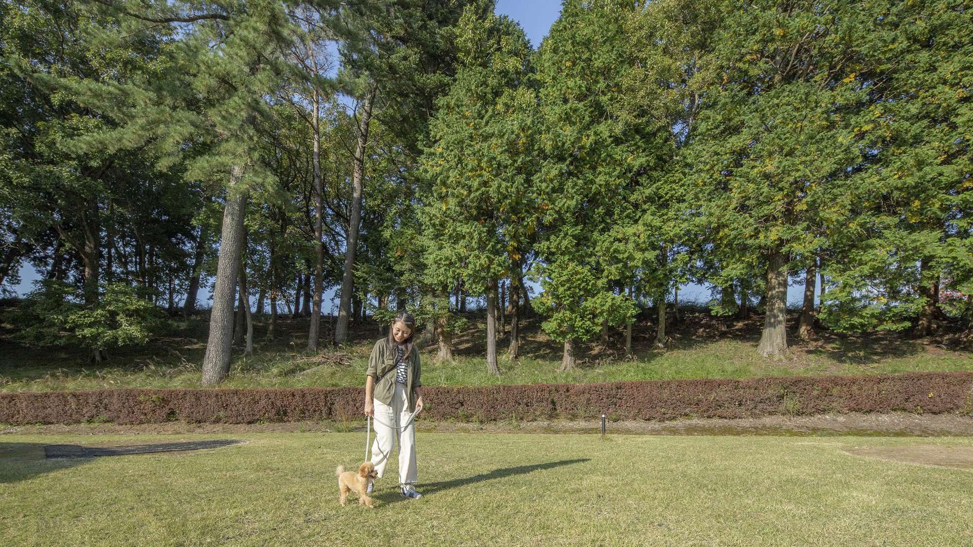 愛犬と敷地内お散歩イメージ