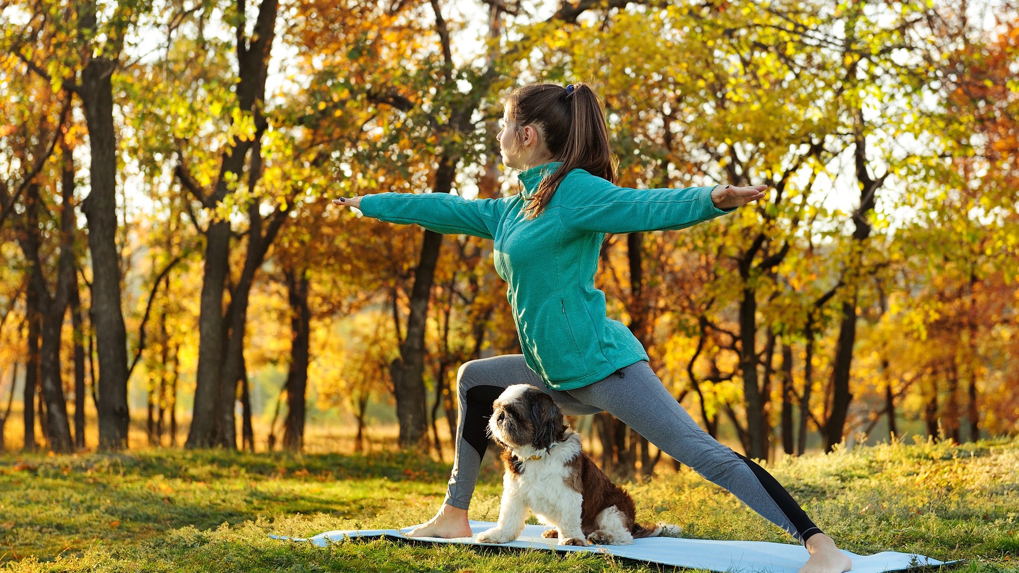 DOG YOGAイメージ