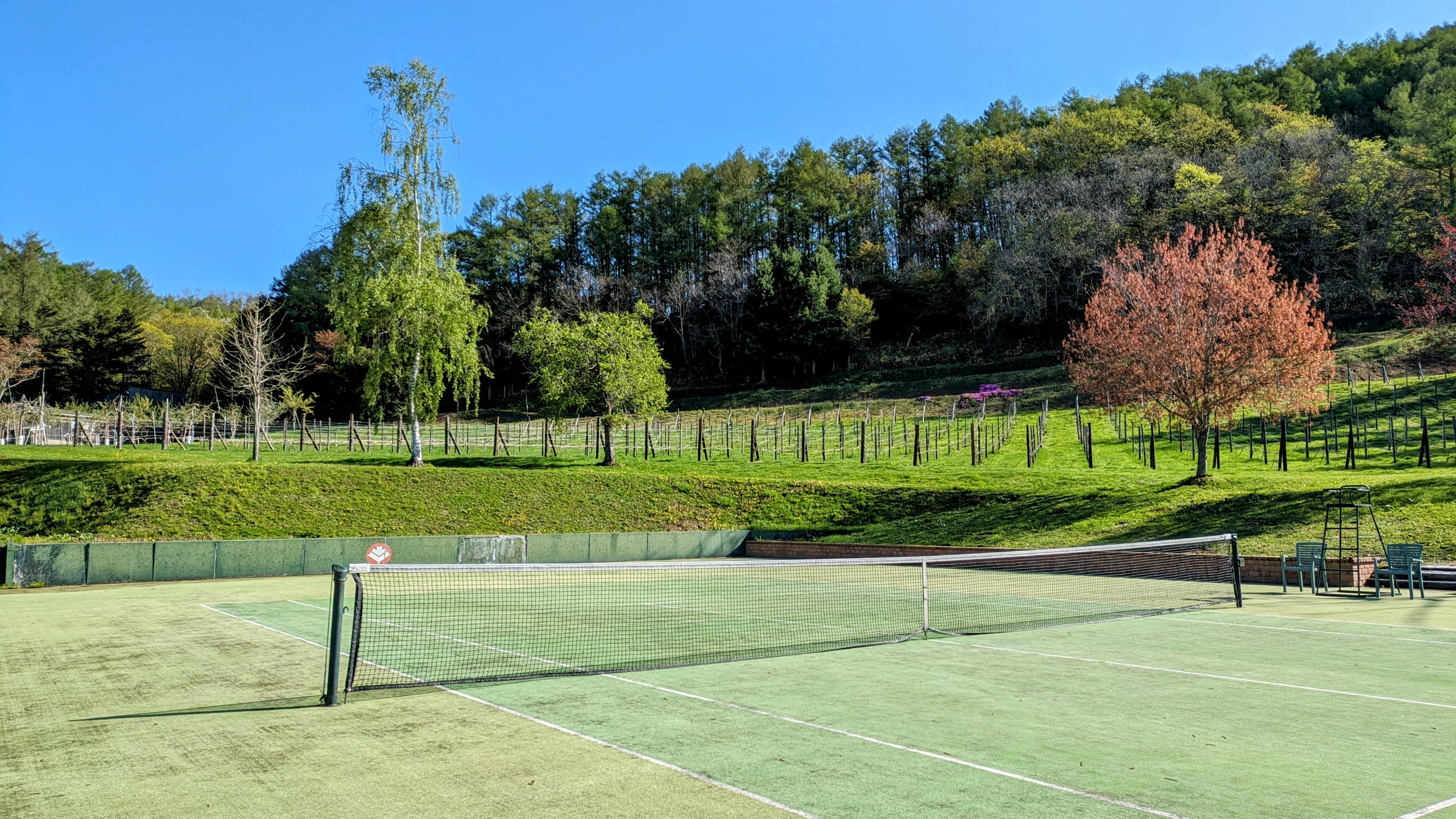 ブドウとリンゴ畑に囲まれた「屋外テニスコート」※夏期のみ（予約制・有料）レンタルラケットあり