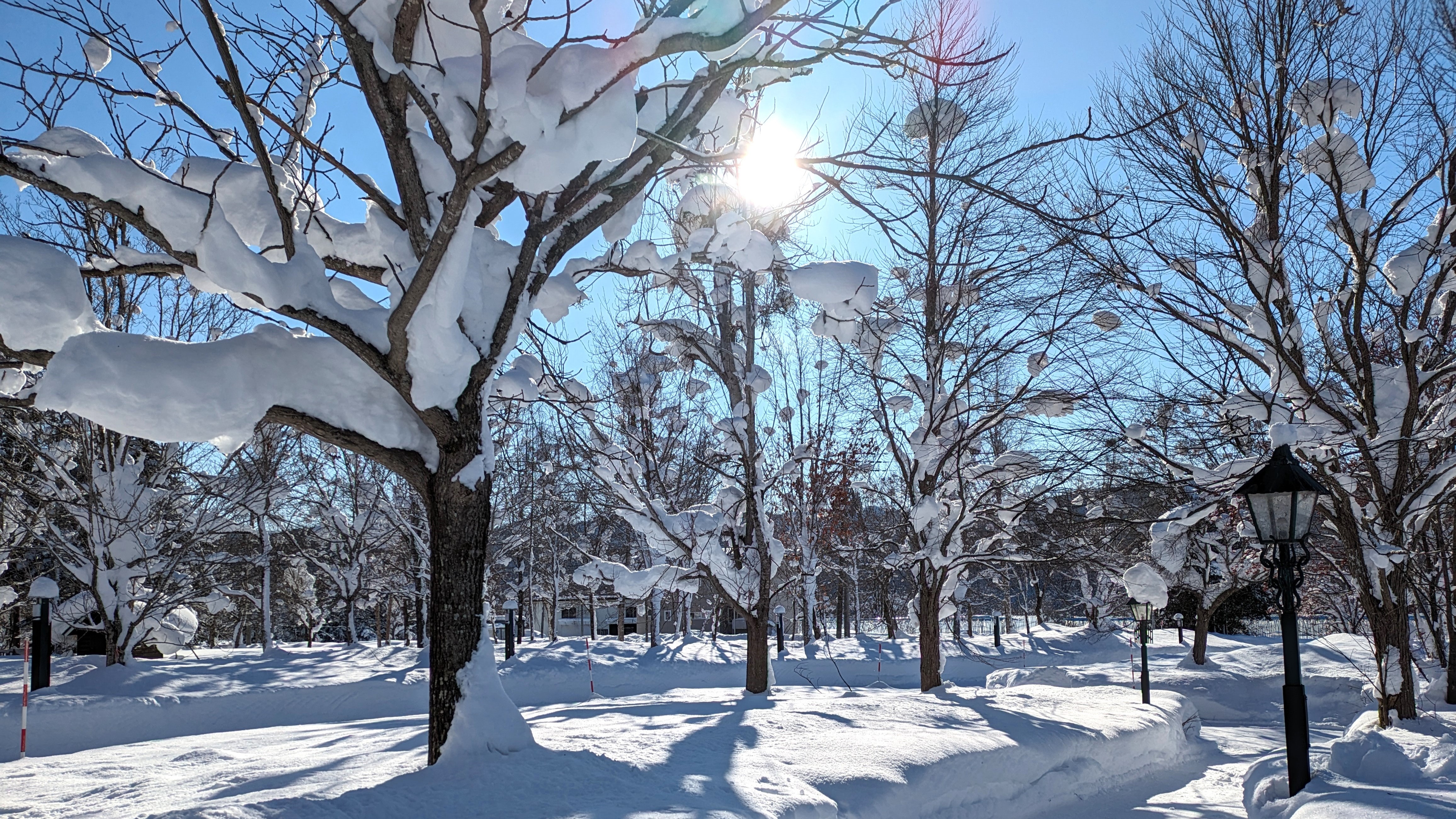 雪が太陽に照らされてとってもきれいです