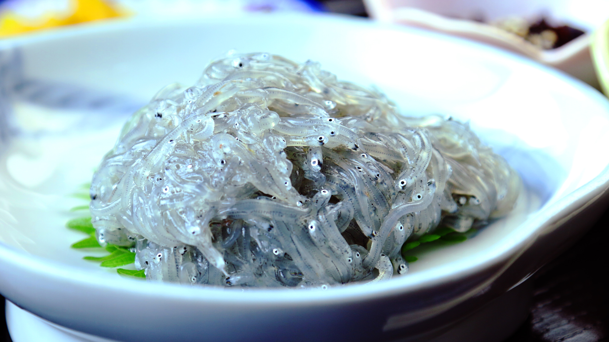 お食事・篠島の自慢獲れたてしらす