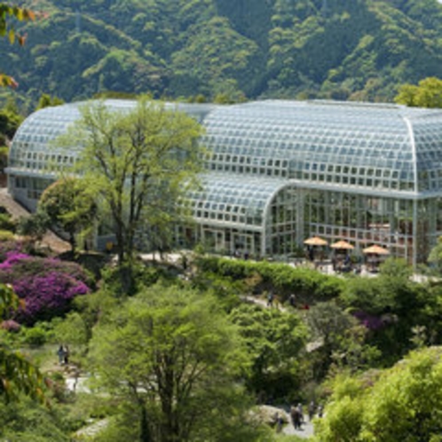 県立牧野植物園（高知市）