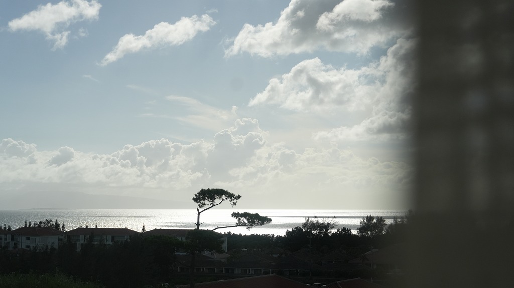 View from the Hotel