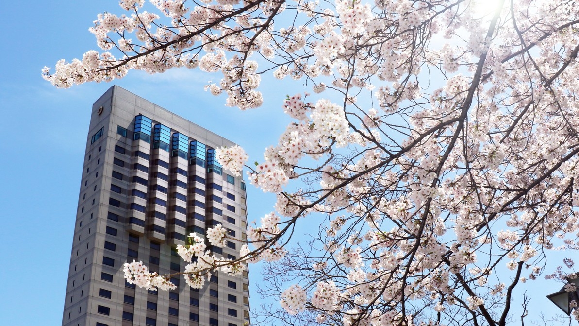 【2部屋同フロア確約】卒業旅行にもおすすめ！〜春休み応援プラン〜15時IN・12時OUT　素泊まり