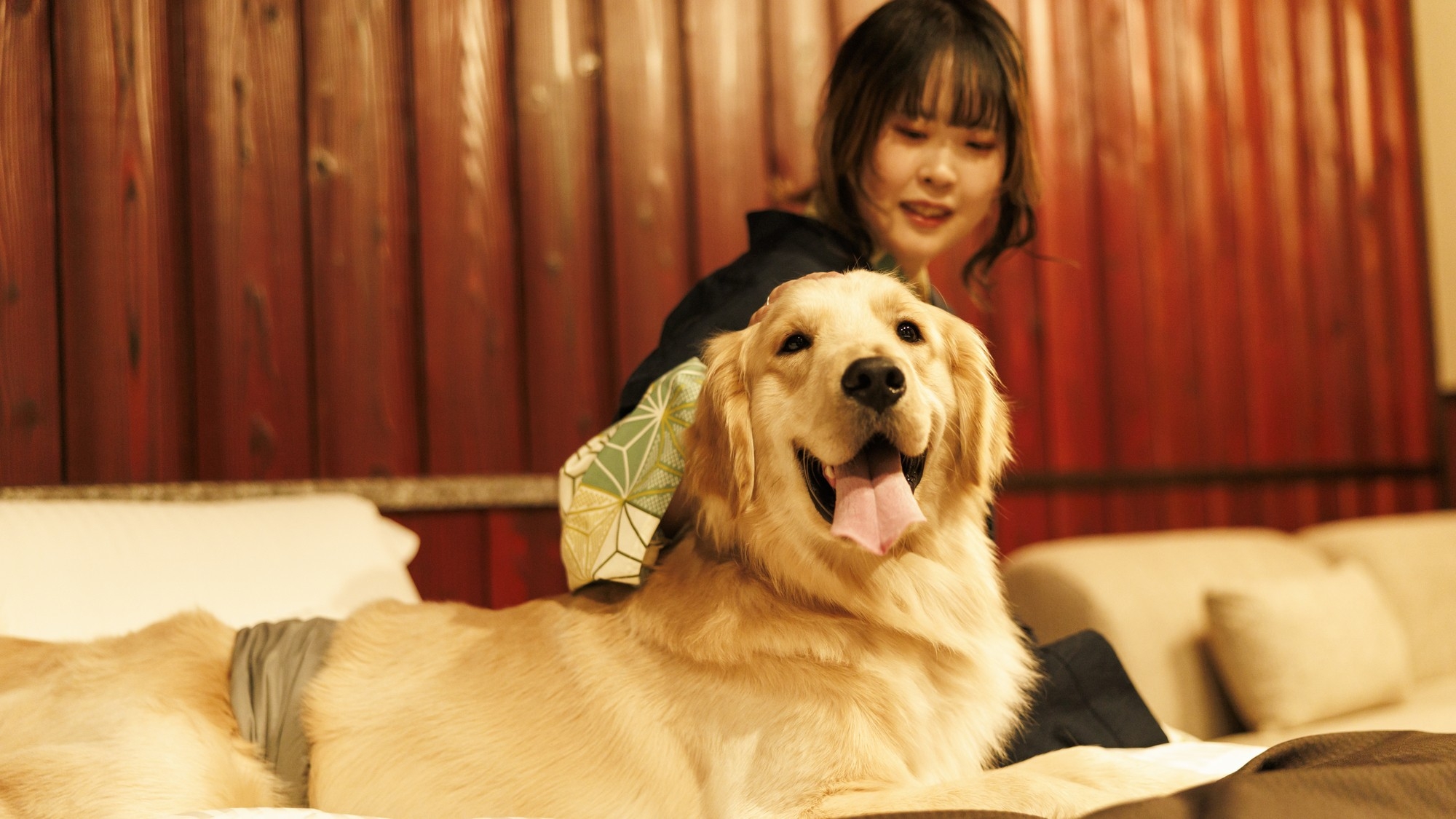 【福井・石川・富山・岐阜・滋賀・京都の方限定】愛犬または愛猫1頭無料！近場旅でリフレッシュプラン