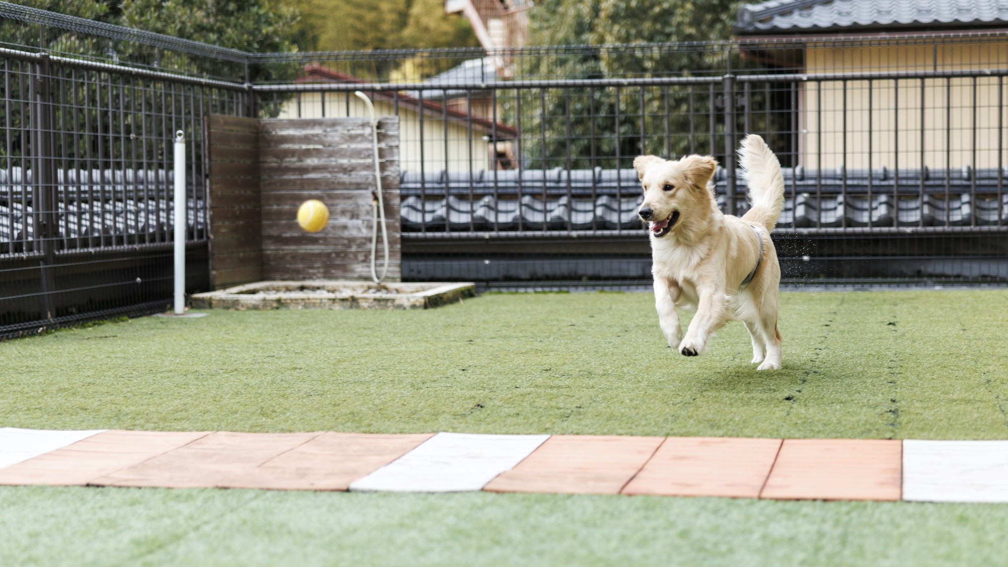 ご滞在中いつでもご利用可能な屋外ドッグラン