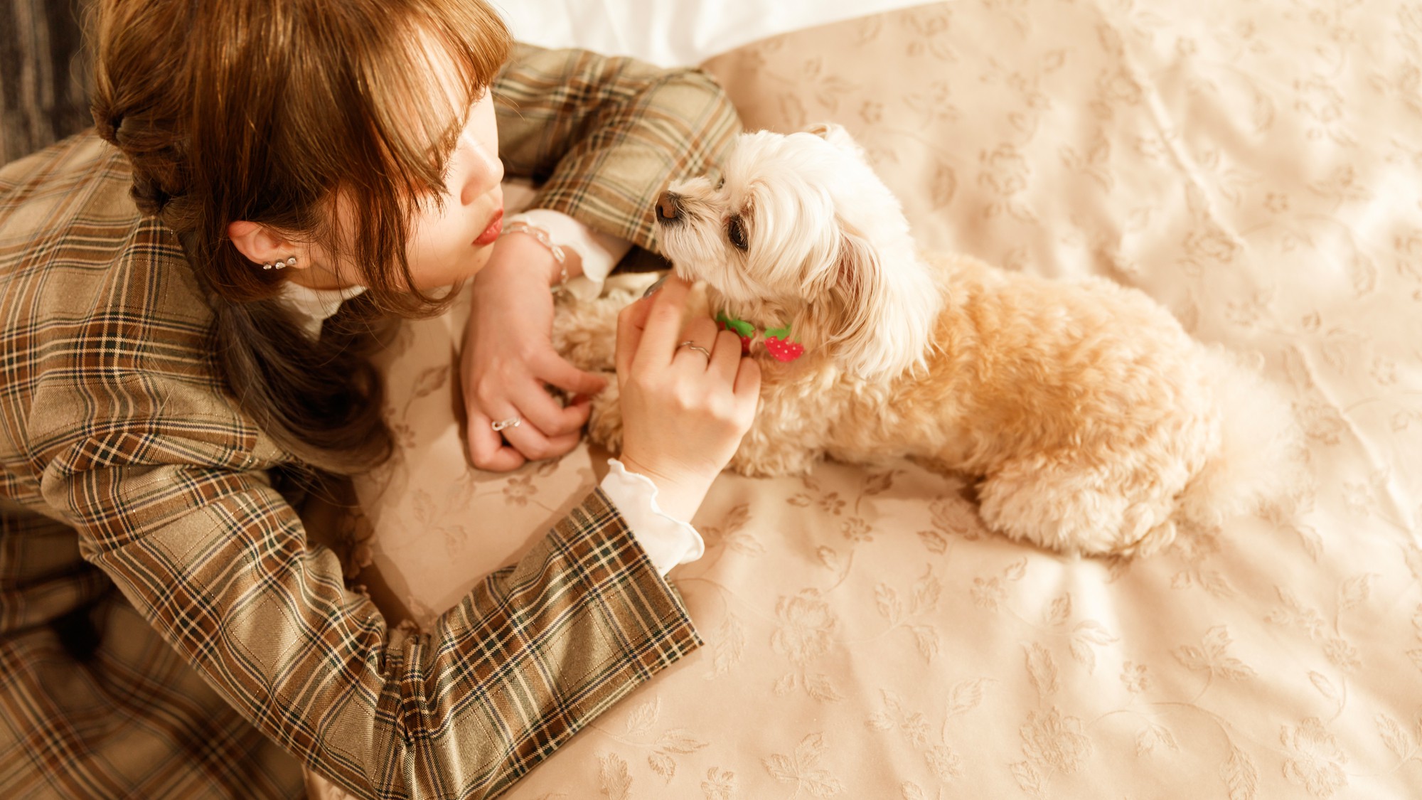 愛犬とベッドで添い寝もOK！