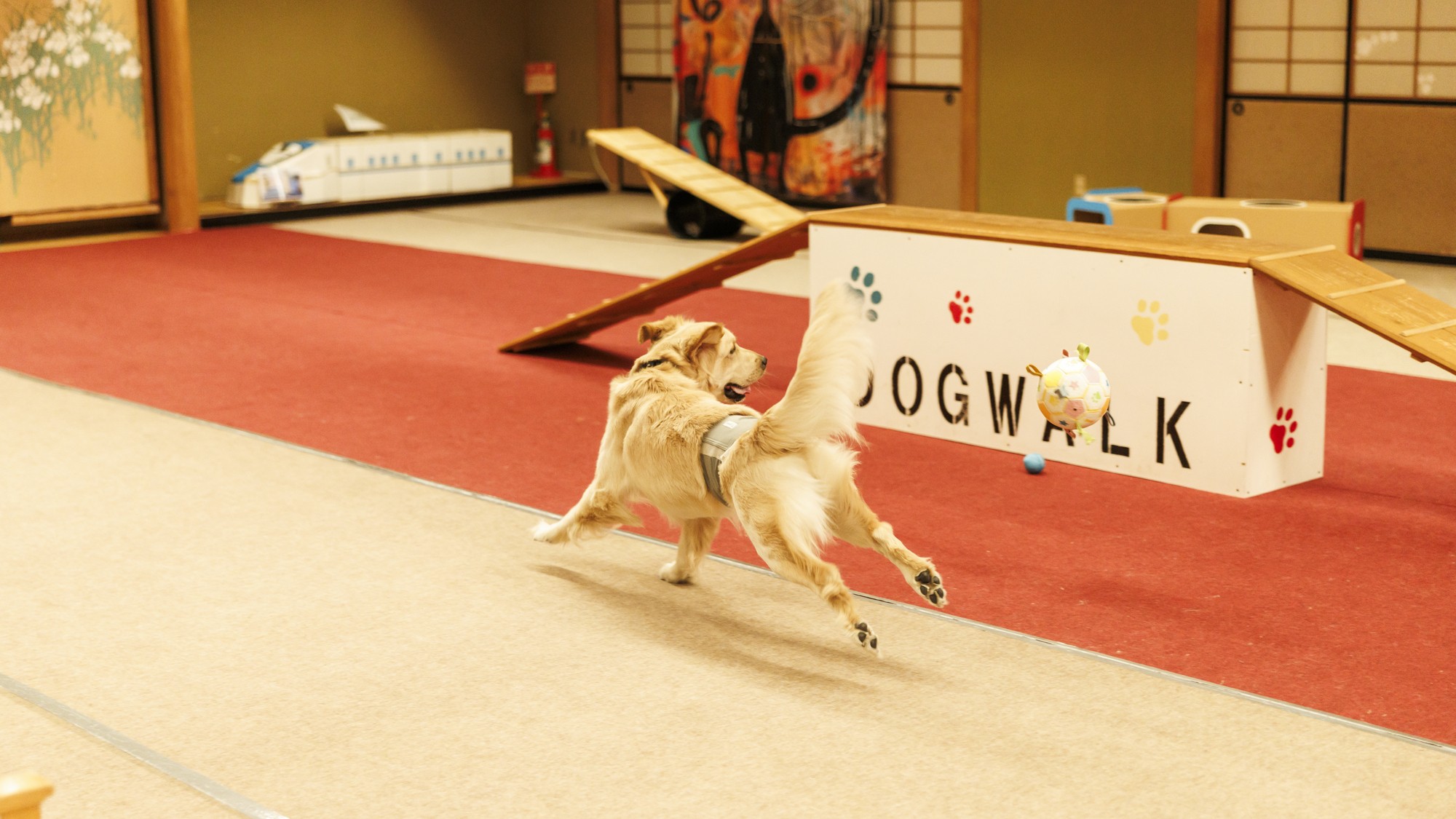 大型犬ものびのび遊べる北陸最大級の屋内ドッグラン！