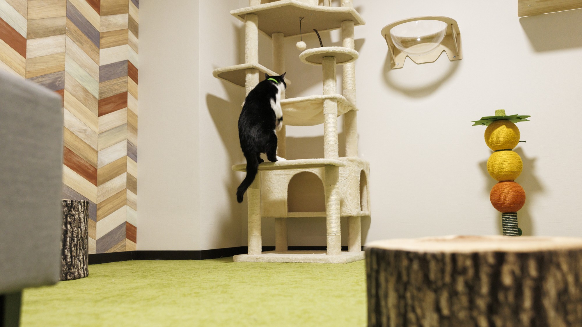 ワンニャンルーム【デラックス】プレイルーム・ベッド付和洋室