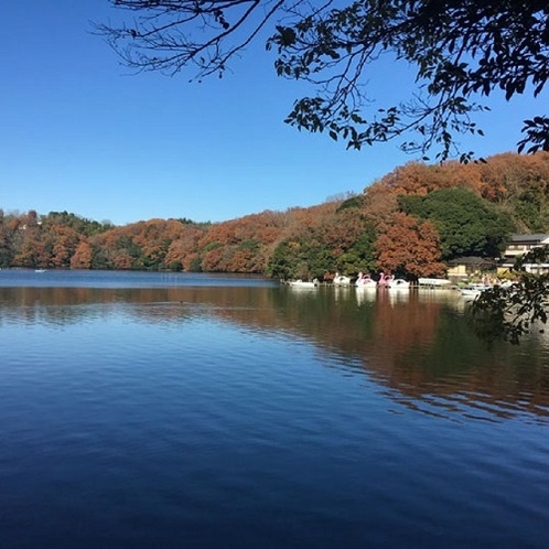 ［紅葉］秋の一碧湖
