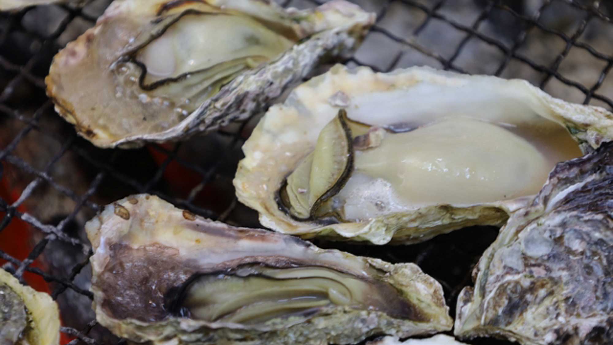 ◎プラン特典◎地元産カキ（1名様につき5個）お付けいたします