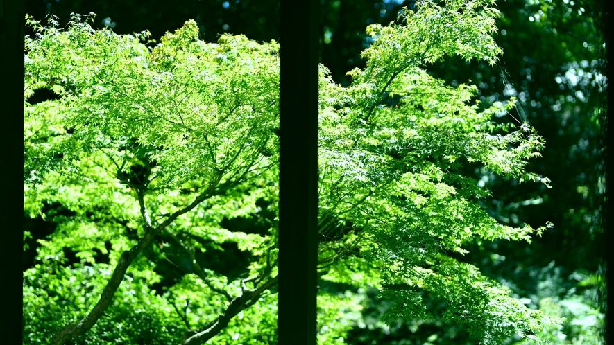 【厳選かけ流し宿】豊泉荘で、日本一の温泉地 「別府」を湯ったり、ご満喫ください
