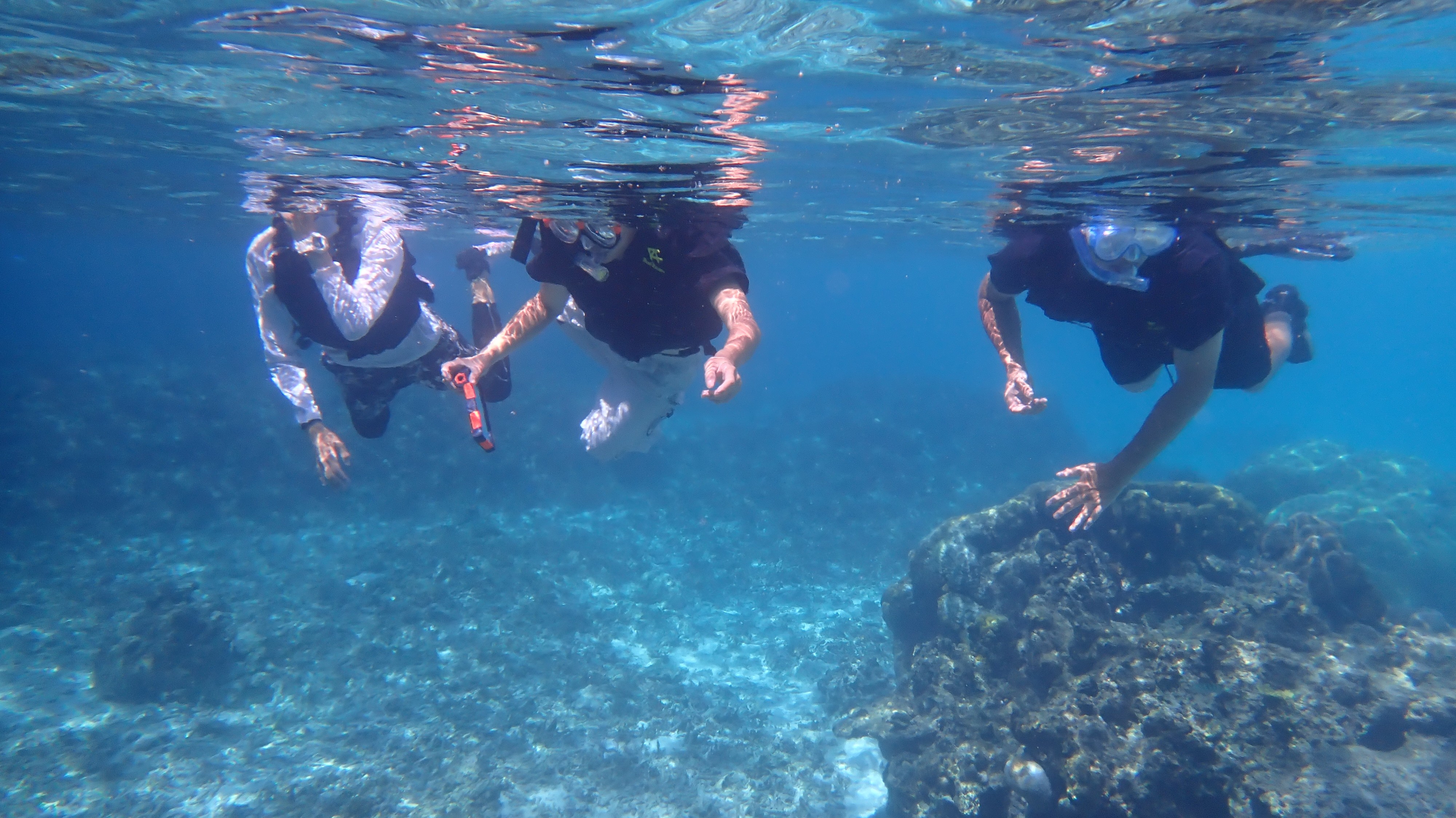 ファミリーシュノーケルツアー（有料オリジナルアクティビティ）