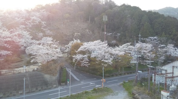 山側　風景