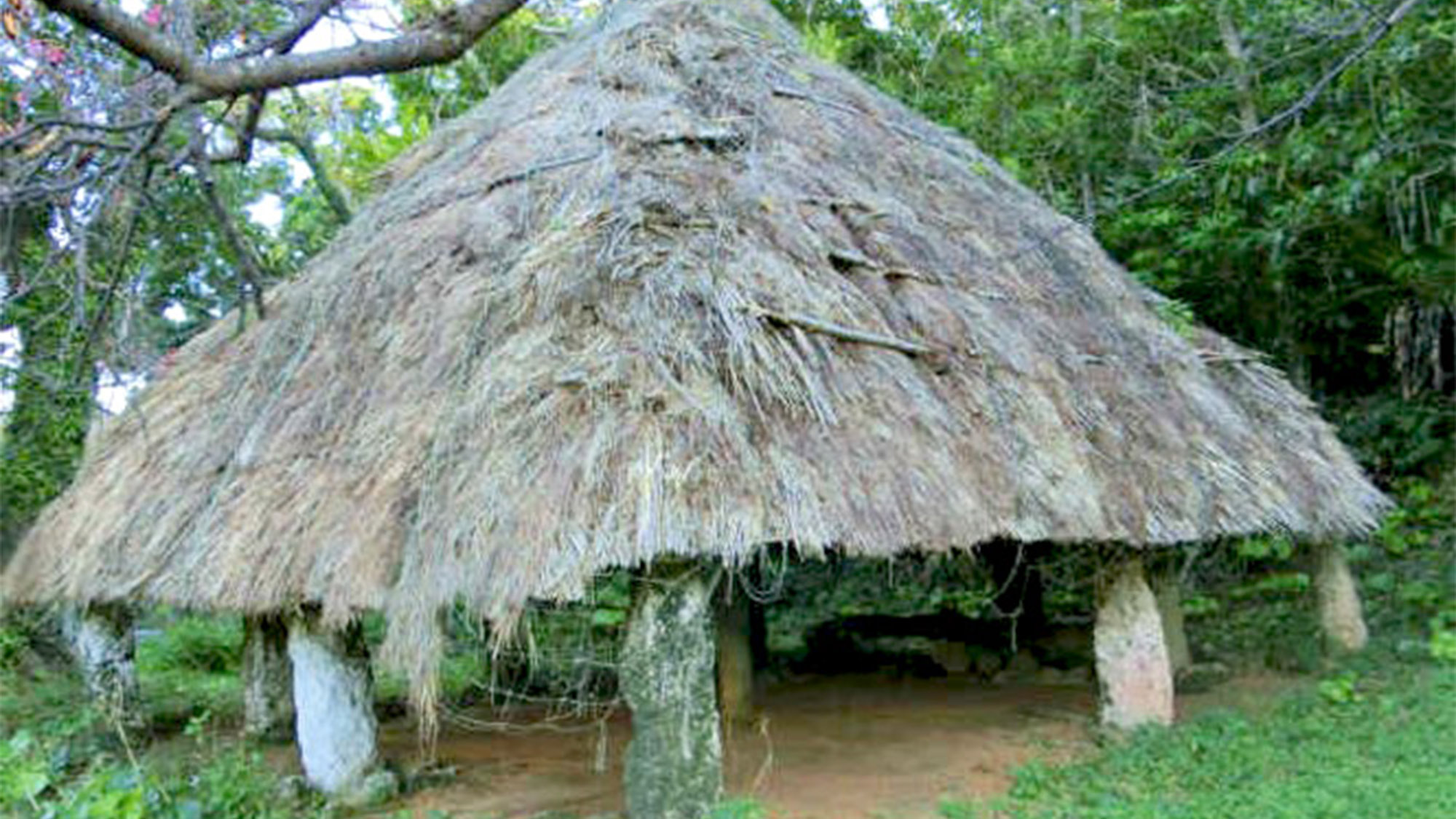 ・具志堅の神ハサーギ。神が上り下りする神木タモト木が置かれています。