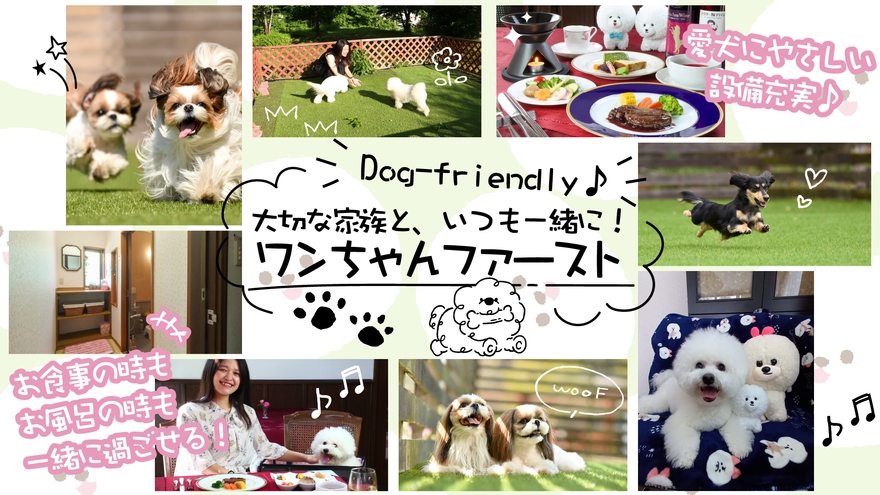 【5％OFF】【楽天スーパーSALE】一番人気の福島牛サーロインステーキ！愛犬と味わう会津路