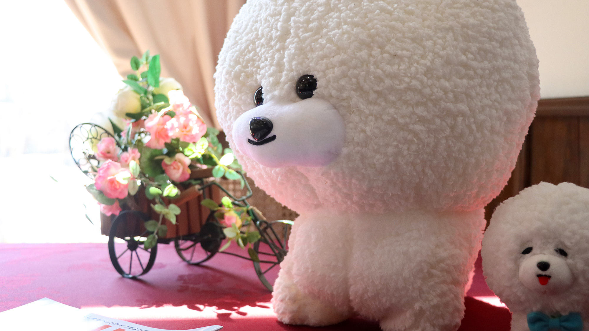 #イメージ　ワンちゃんへの愛情たっぷりの装飾もお見逃しなく。
