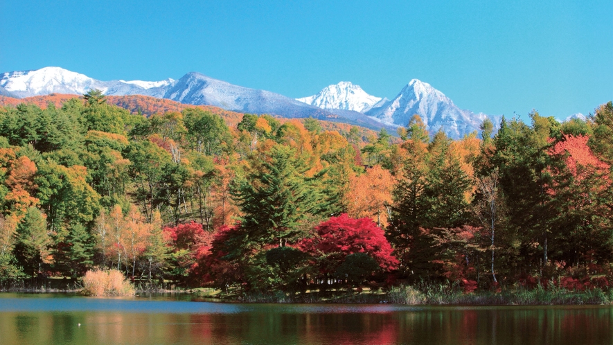 【周辺観光】秋の蓼科湖