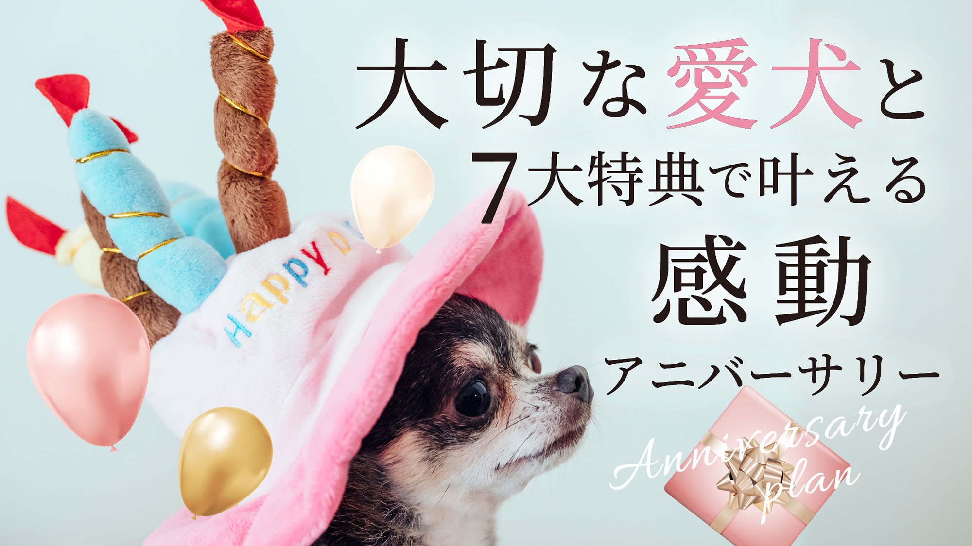 【記念日】大切な日を愛犬と7大特典で叶える感動アニバーサリー♪