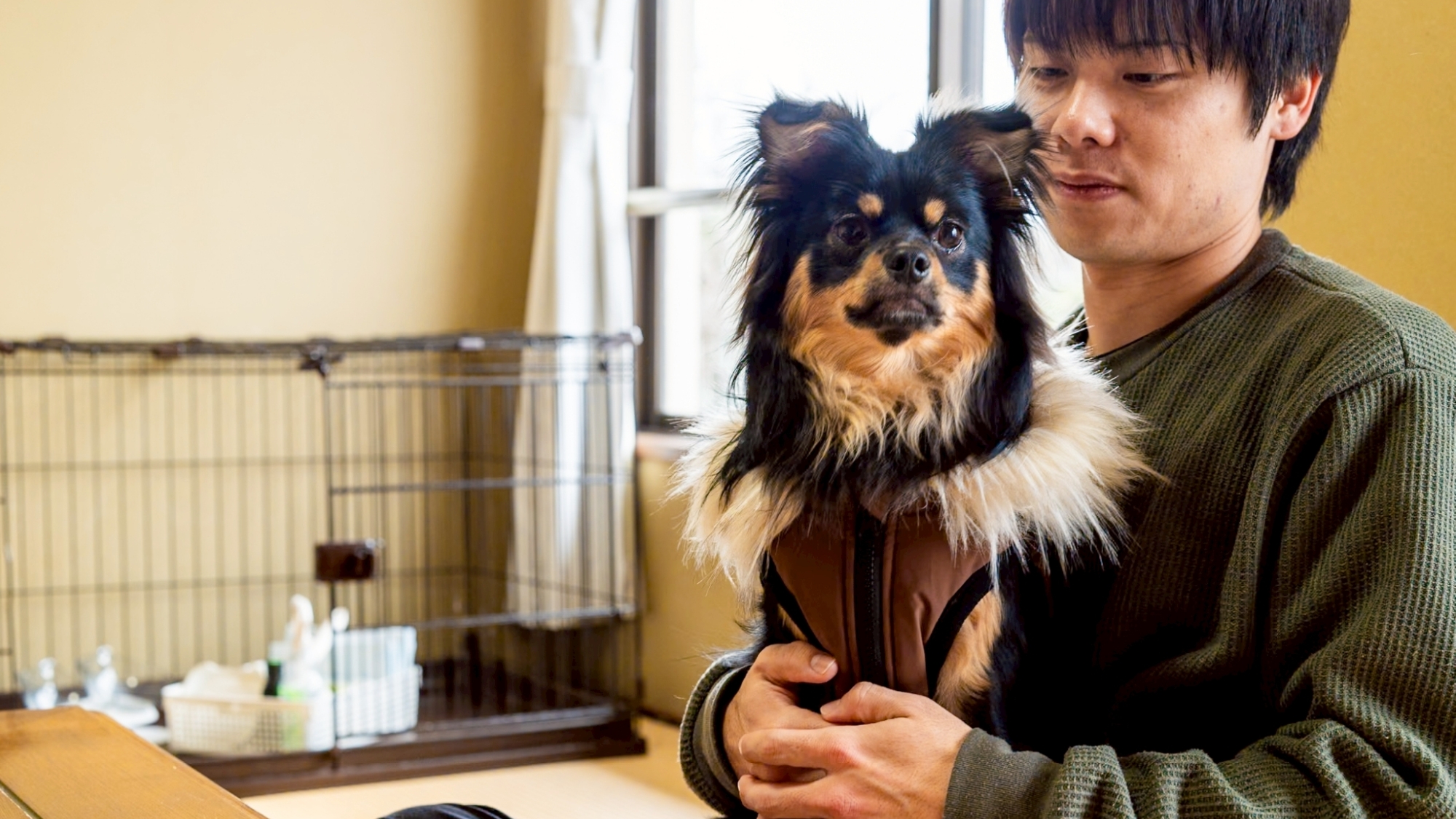 【ペット専用-和室8畳】大切な家族の一員であるペットと一緒にお泊りいただける和室客室。