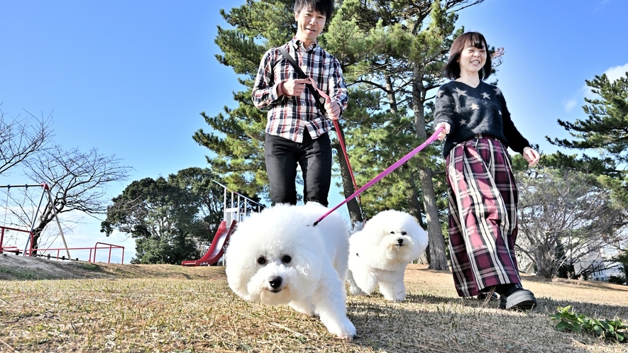 【隣接する尾ノ上公園】高台にございますので玄界灘を望むことができます。