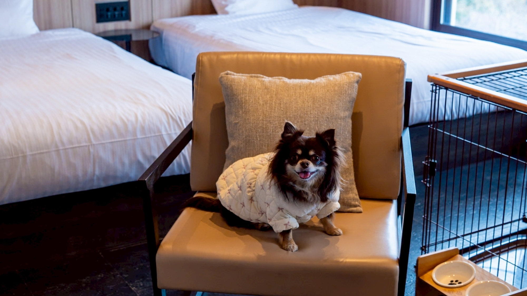 【客室イメージ】ペット専用アメニティ完備。愛犬も快適にお過ごしいただけます