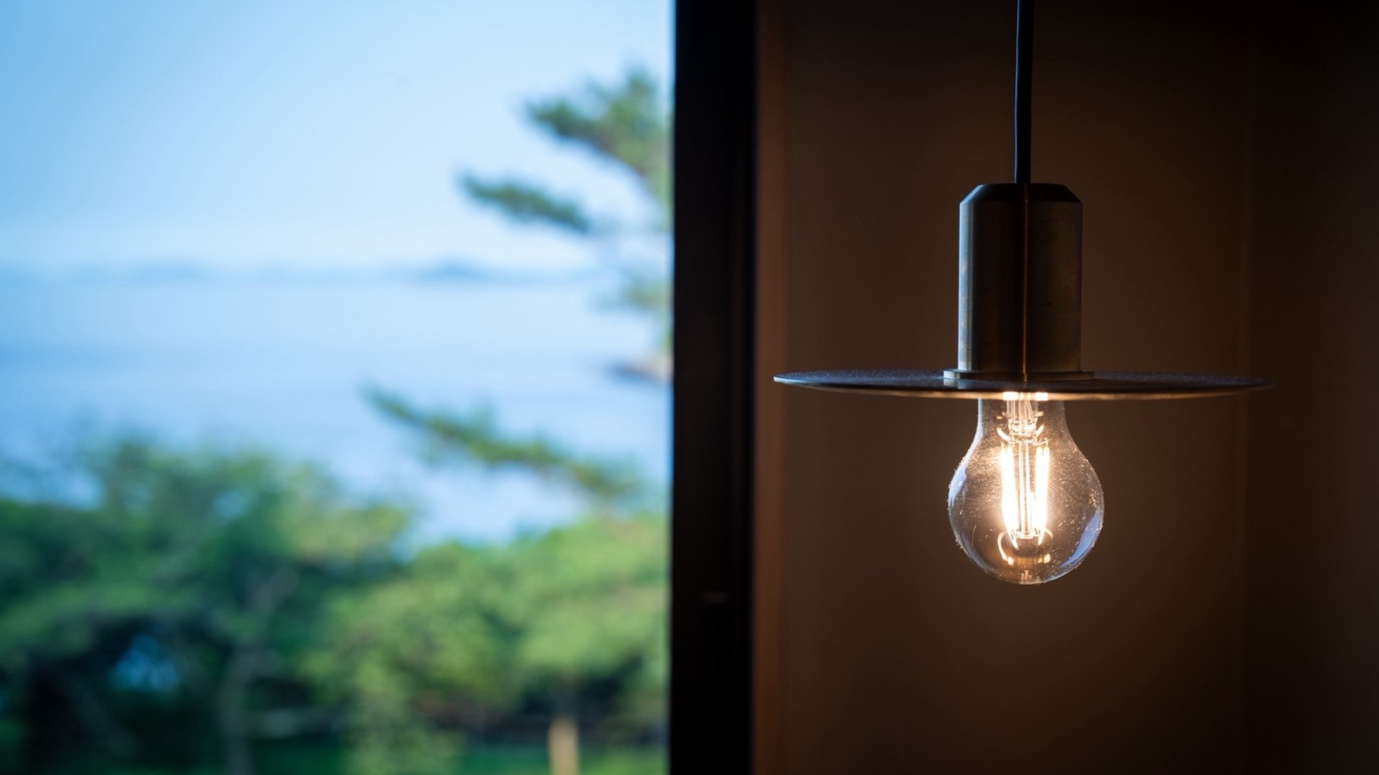 【ペット専用-デラックスツイン-34㎡】温かな光が包む、心地よい客室の夕べ。