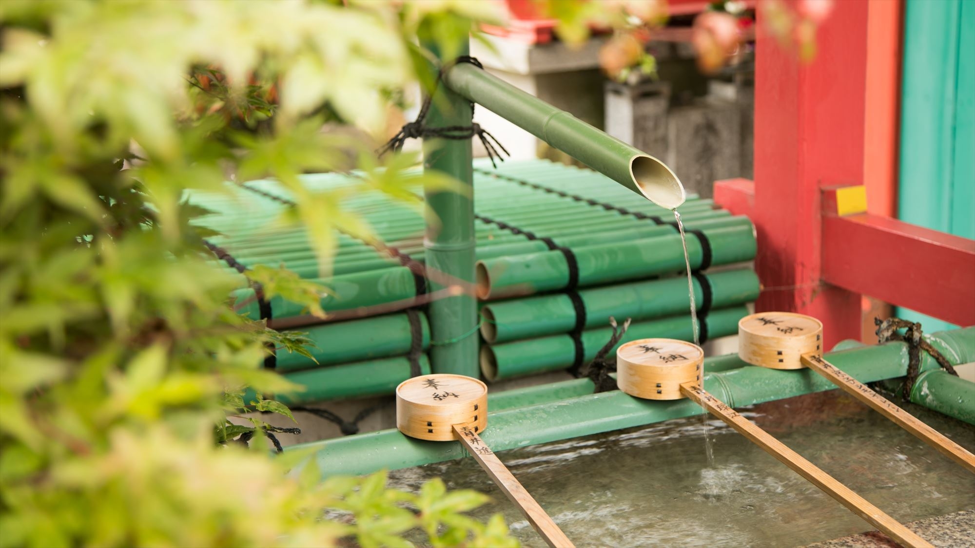たっぷり5泊〜＜素泊まり＞〜大阪の寺町でゆったり過ごす和の癒し旅〜