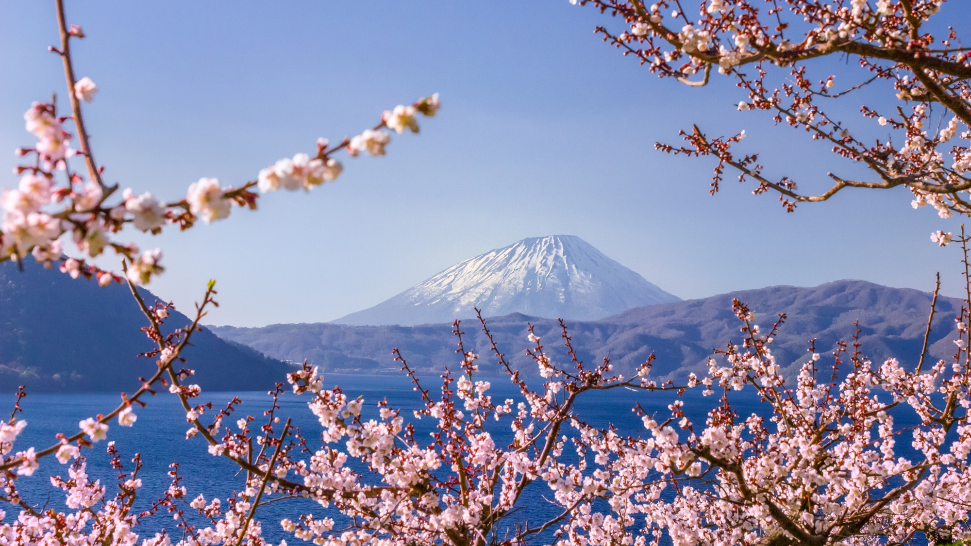 雄大な富士山をお楽しみください。