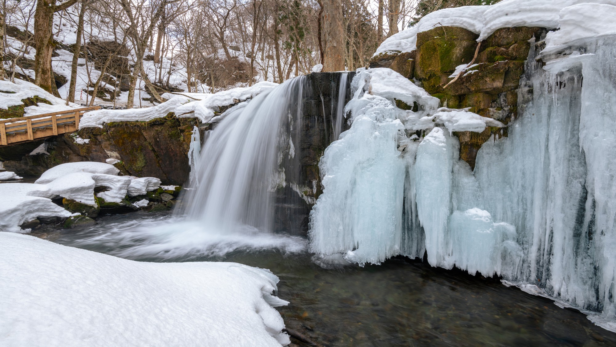 【奥入瀬渓流氷瀑】太陽の光を浴びてキラキラと輝く氷瀑が楽しめます。