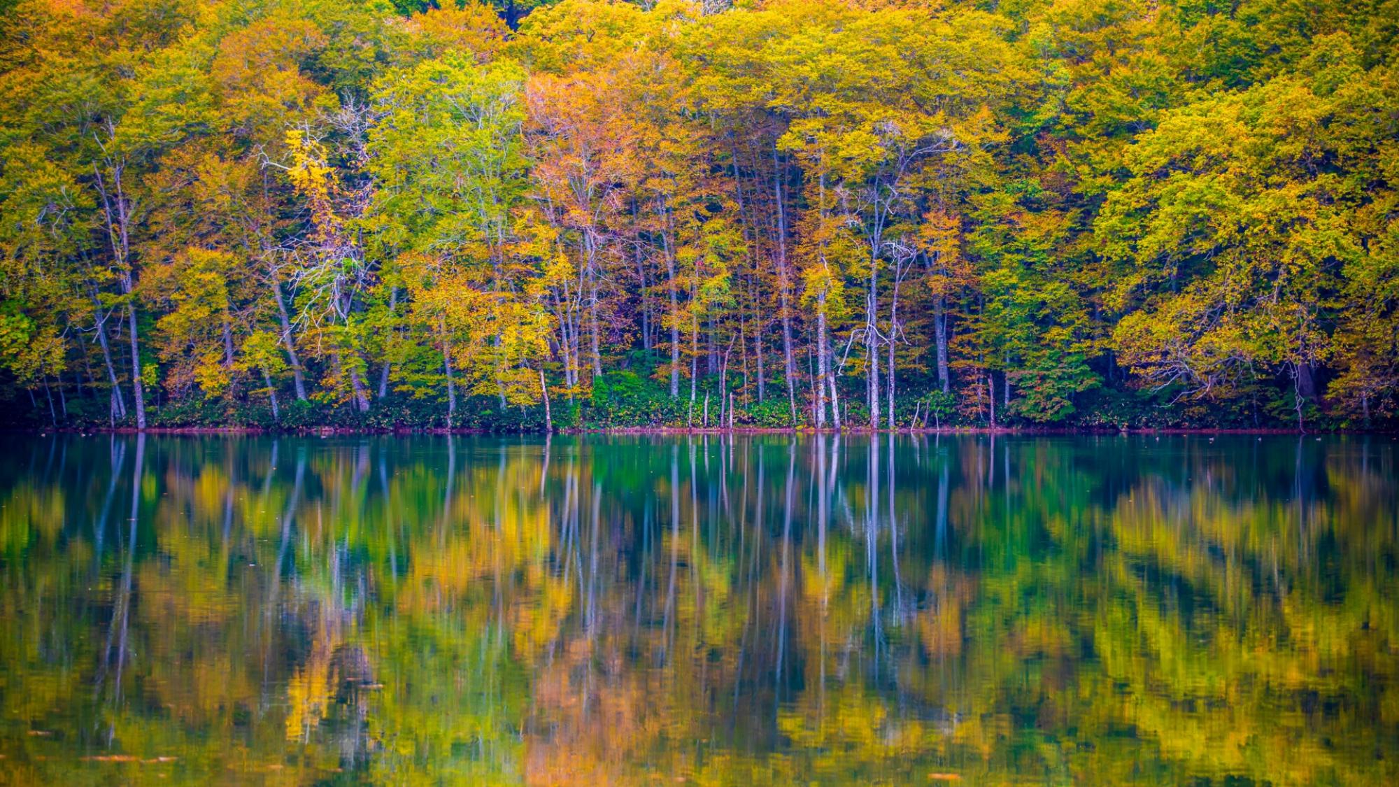 【蔦沼｜秋】紅葉が湖面に映る絶景で人気の早朝スポット