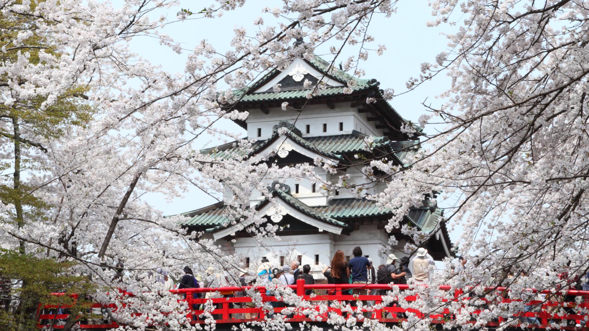 【弘前さくらまつり】日本屈指の桜の名所。一生に一度は見たい絶景です。