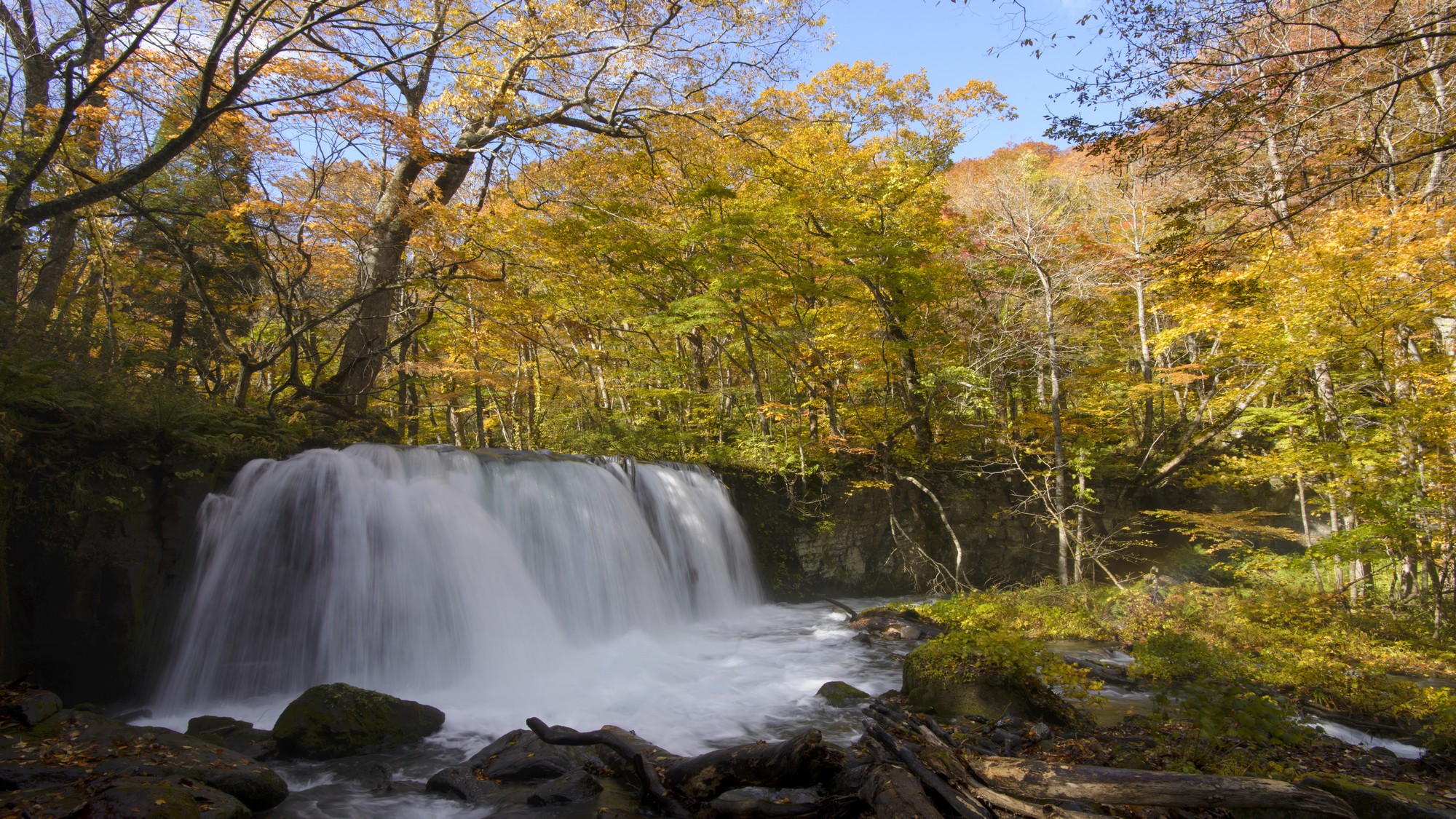 【奥入瀬渓流】紅葉の景勝地として人気です。