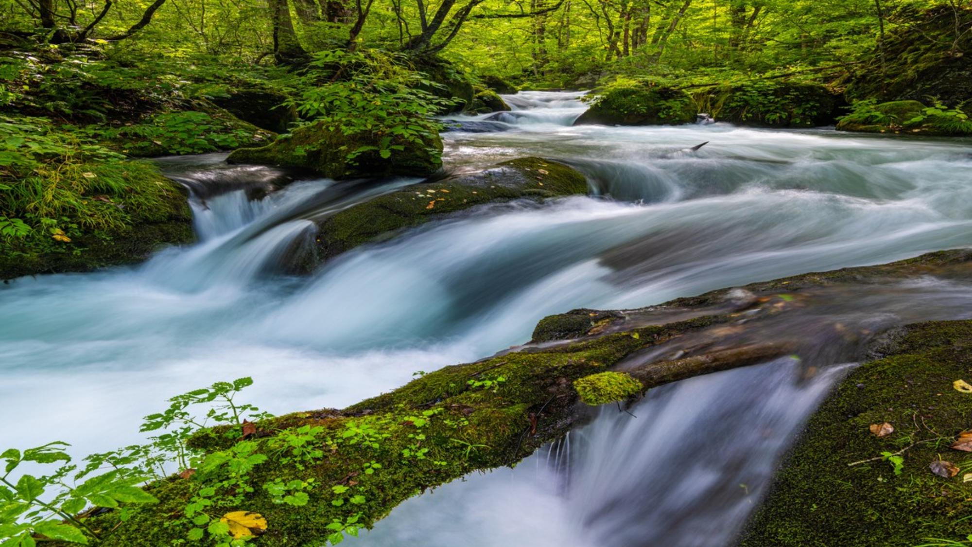 【奥入瀬渓流】ミシュランにも選ばれた東北随一の景勝地です。