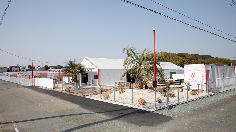 【いちご摘み(食べ放題)60分付き】車で30分！和いち遊園いちご摘み体験付き【月〜木】