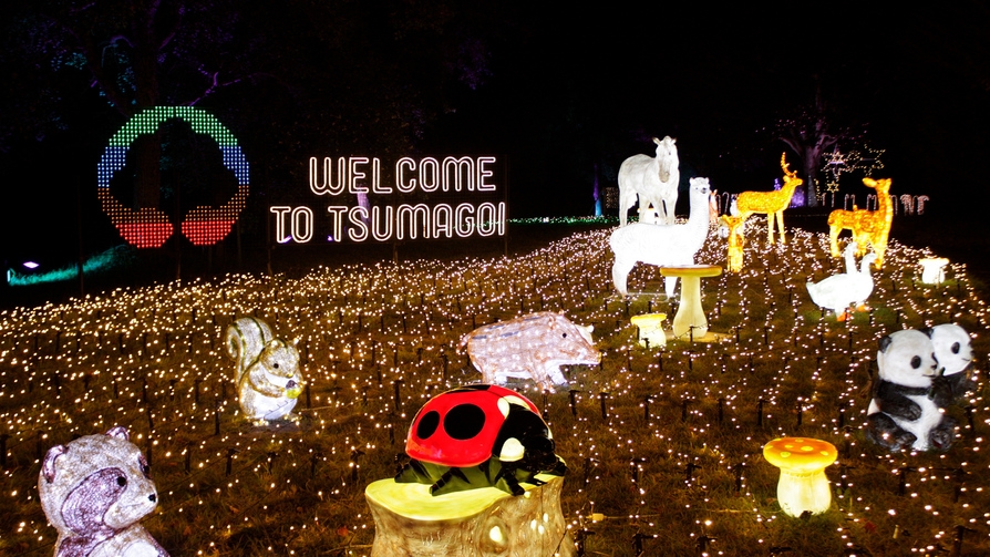 【2025 Christmas】お部屋で楽しむ　クリスマスケーキ＆イルミネーション入場券付きプラン