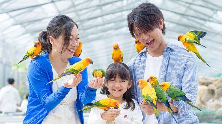 ◆車で15分！掛川花鳥園入園券付きプラン