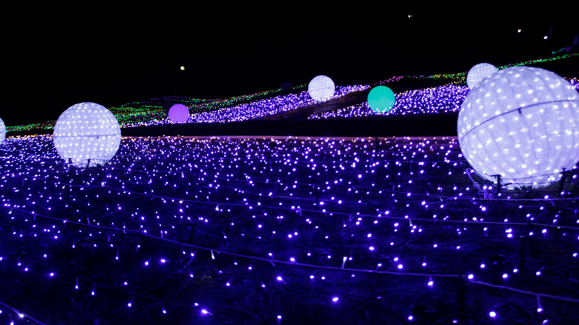 【イルミネーション2025】※シーズン限定