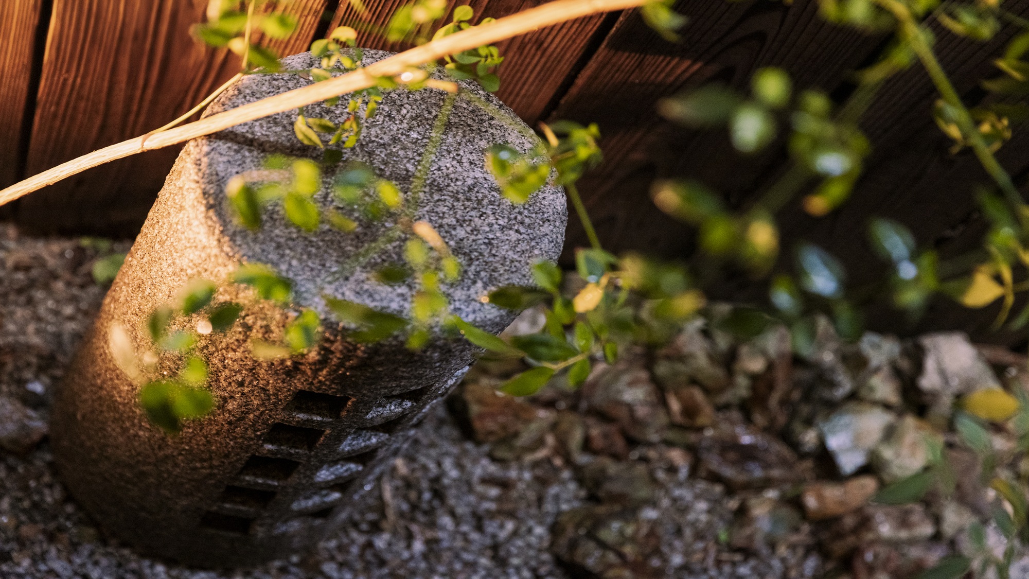 鈴 九条針小路五九