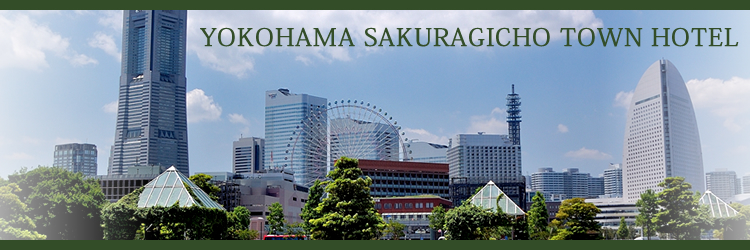 写真1