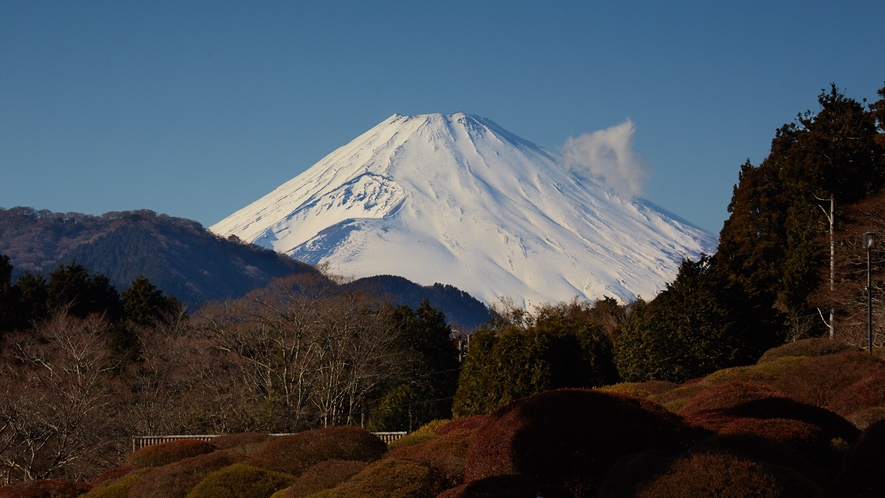雪化粧をした冬の富士山