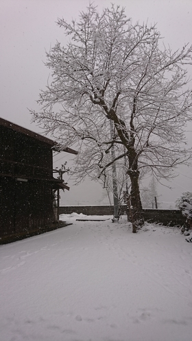 冬　雪の赤沢資料館