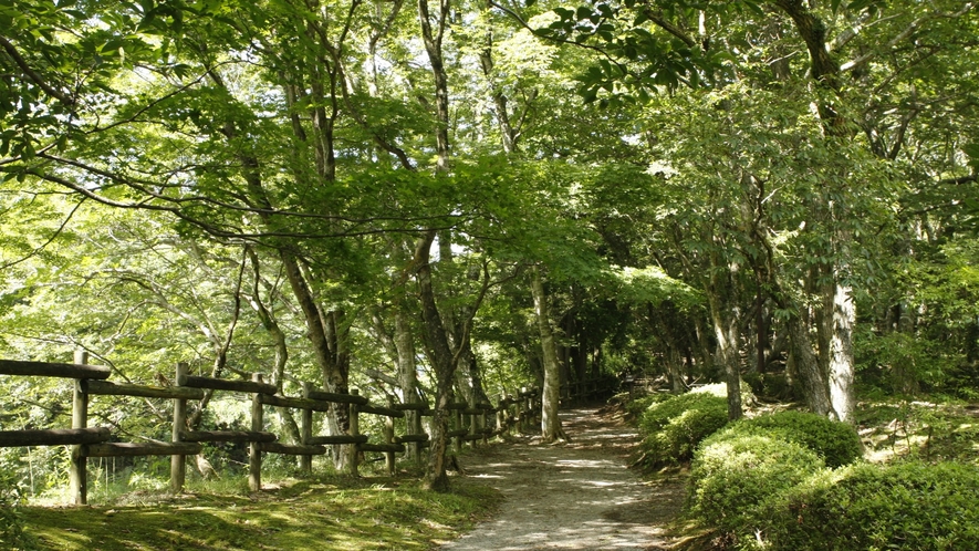 夏の庭園