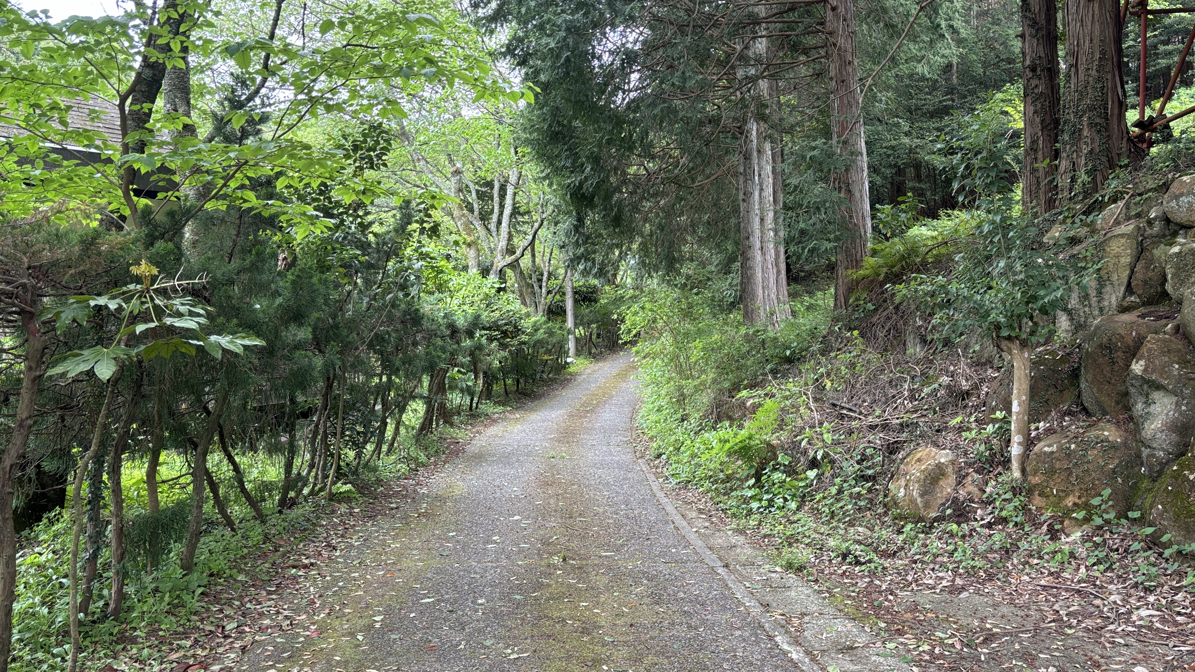 南箱根ヴィラ散歩道