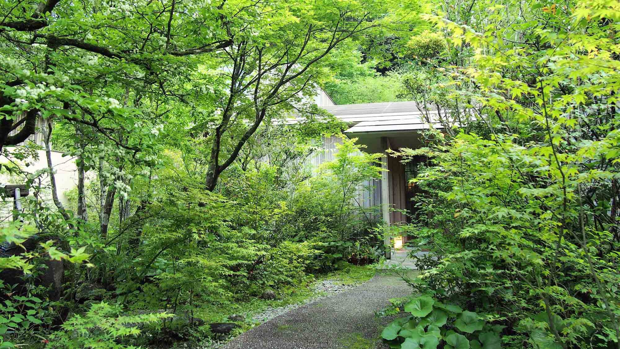 【新緑旅4/1〜4/28｜1泊2食】離れの露天風呂付客室から新緑を眺める、温泉と地元料理で森の休日を