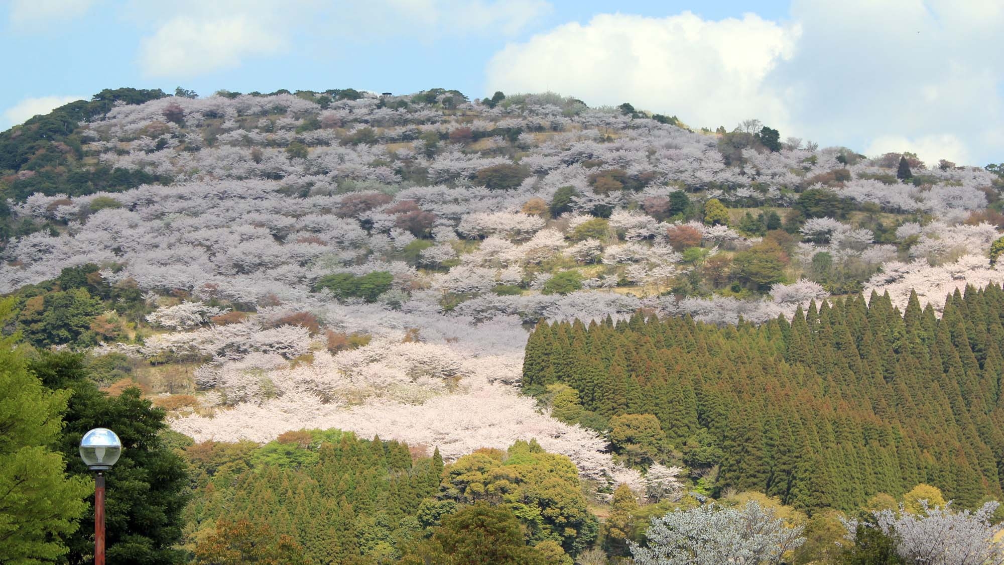 ＜桜旅　2/1〜3/31＞離れの露天風呂付客室から眺める春景色　芽吹きと桜を楽しむ森の休日を（禁煙）